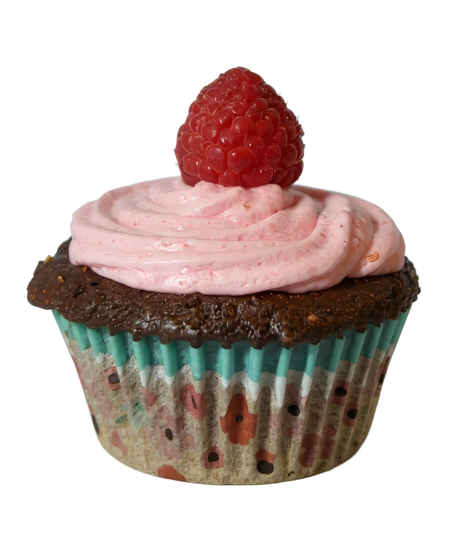 Chocolate Raspberry Cupcake